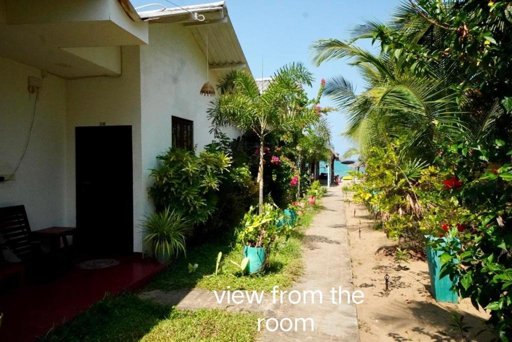 Feel The Waves Hotel Arugam Bay Exterior foto